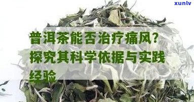 痛风喝普洱茶可以降尿酸吗