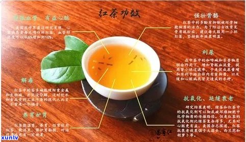 红茶的品质特点及解说