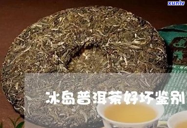 冰岛普洱茶怎么辨别真伪