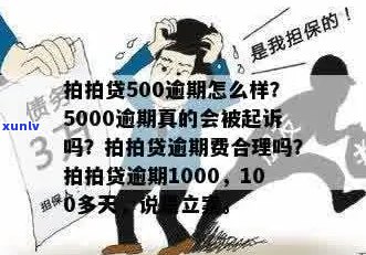 欠5000不还