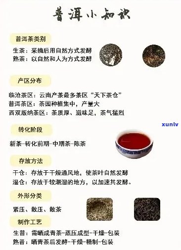 普洱茶可分为什么