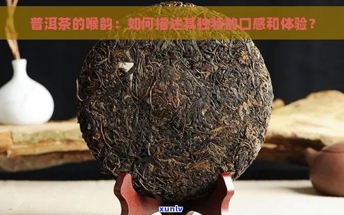 普洱茶的喉韵说明什么