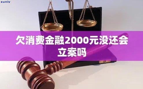 欠消费金融2000元没还会被立案吗