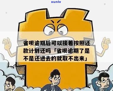 省呗逾期强制全款怎么办