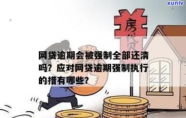 省呗逾期强制全款怎么办