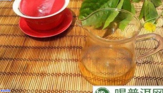 喝普洱茶可以吃青萝吗