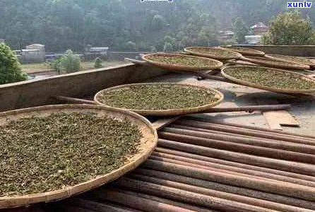 普洱茶混烘青料