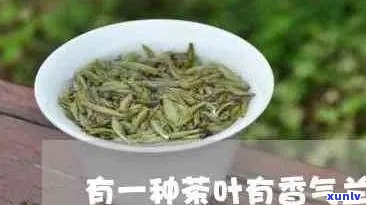 兰香茶属于什么茶类