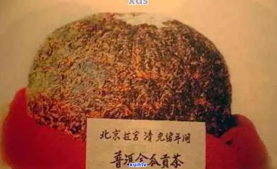 故宫普洱茶为什么不坏呢