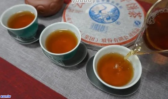 广州普洱茶怎么泡