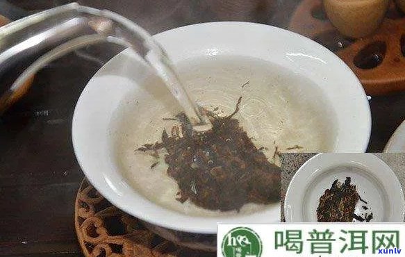 广州普洱茶怎么泡