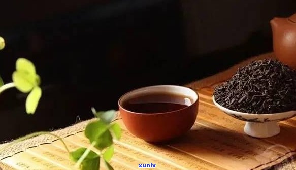 熟普洱茶放几年能喝