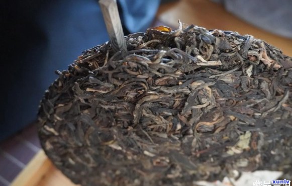 饼茶还是散茶普洱茶好