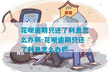 花呗逾期后有利息怎么处理