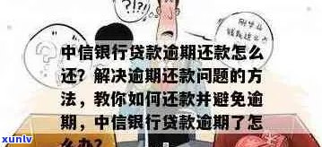 中信银行信用贷款逾期流程解析