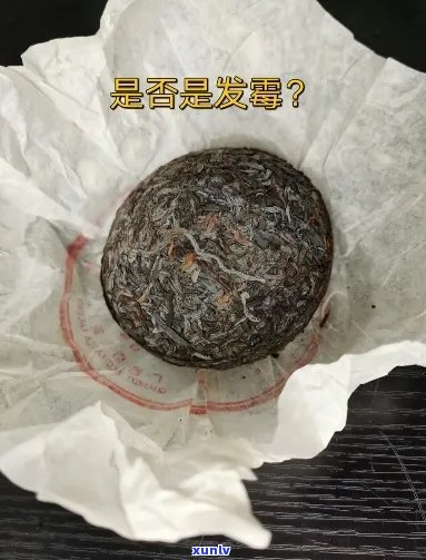 普洱茶发霉无异味是假的吗