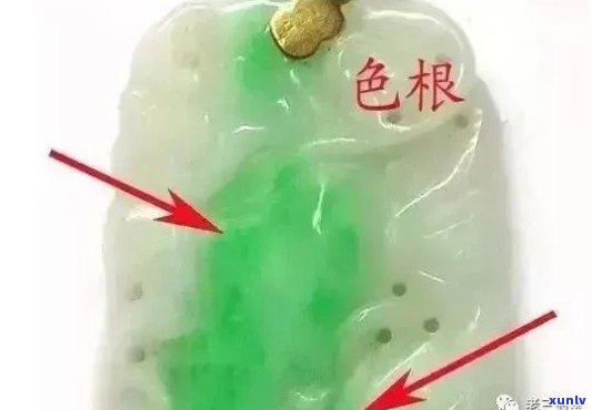 翡翠色根代表什么