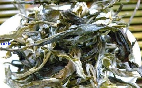 高山茶普洱茶饼