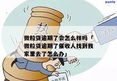 微粒贷逾期家里怎么办