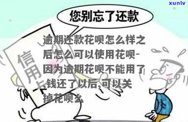 花呗欠款逾期不还会怎样