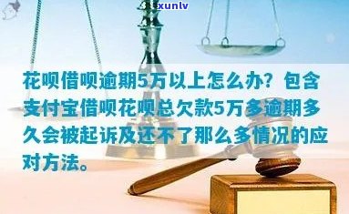 花呗借呗逾期金额5万如何处理