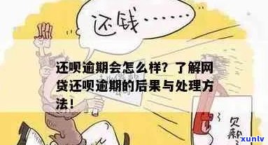 省呗网贷逾期后的处理 *** 