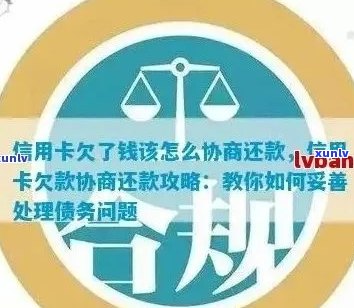 白金信用卡分期还款法务协商流程及注意事项