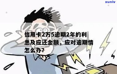 信用卡逾期超过2万利息怎么办