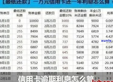 信用卡逾期超过2万利息怎么办