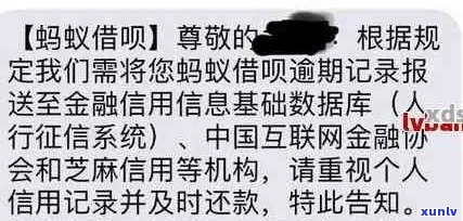 收到借呗短信是真的吗