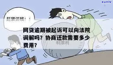 欠网贷说要去法院调解