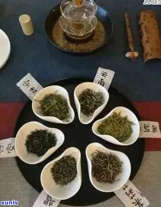 普洱茶放多少才提神