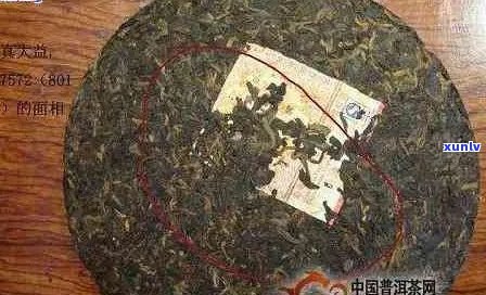 普洱茶如何识别质量