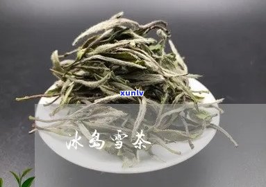 冰茶是什么样子白雪茶是什么茶类