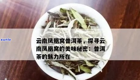 墨江凤凰岭普洱茶特点和功效