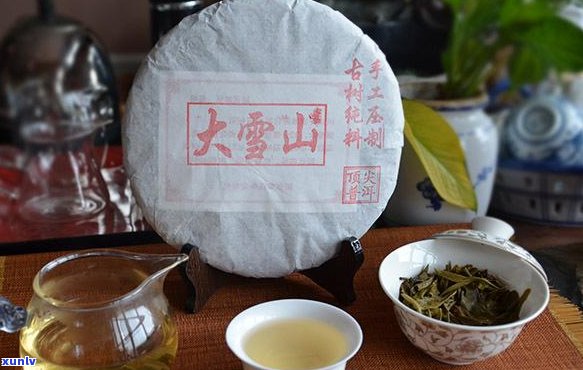 普洱茶的鉴 *** 与评价：手拿起的普洱茶如何鉴？普洱茶鉴手册详解。