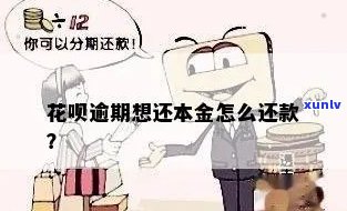 借呗花呗逾期本金2万怎么处理