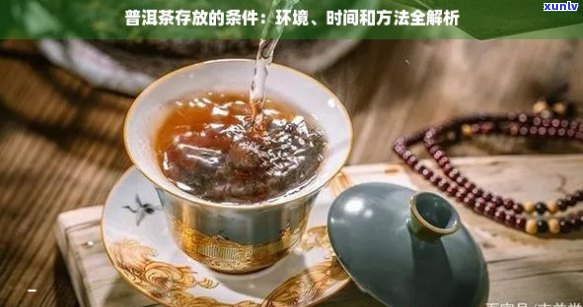 普洱茶沏茶的时候应该怎么样保存