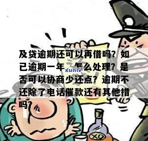 老同志熟茶推荐：普洱茶中的经典品种与口感指南