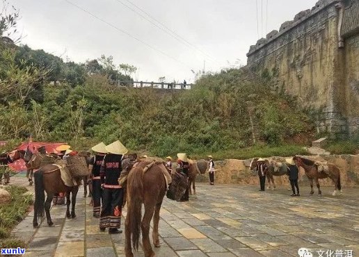 普洱茶马古道车祸