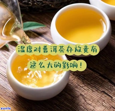 普洱茶湿度对人有什么影响