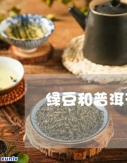 绿豆和普洱茶一起喝吗