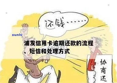 武汉浦发信用卡怎么处理