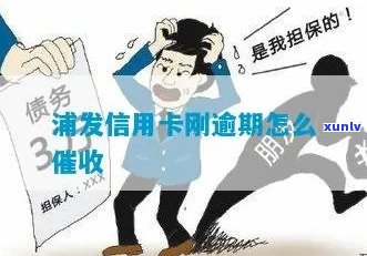 武汉浦发信用卡怎么处理