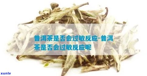 喝普洱茶和会过敏吗