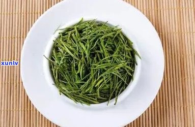 东白春芽是什么茶