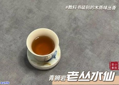 普洱茶跟白茶哪个更好喝