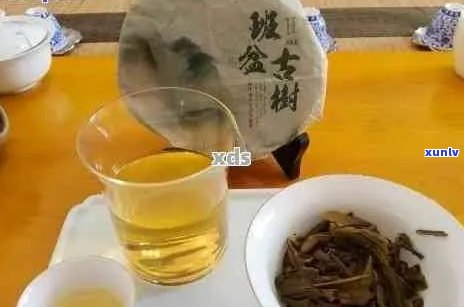 普洱茶该在哪买好喝