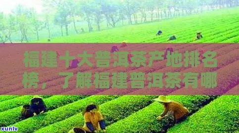 福州普洱茶产地