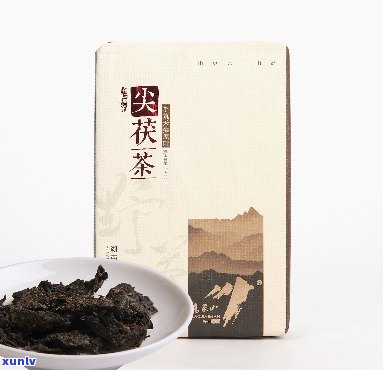 春尖茯茶的价格查询